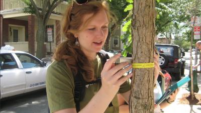 Earthwatch Blog Article Citizen Science, Trees, and the Quest for Urban Resiliency.jpg