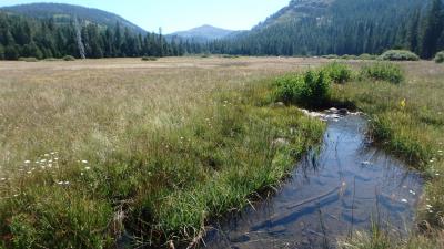 Earthwatch Blog Article Drought, Meadows, and Climate Change in California’s Sierra Nevada