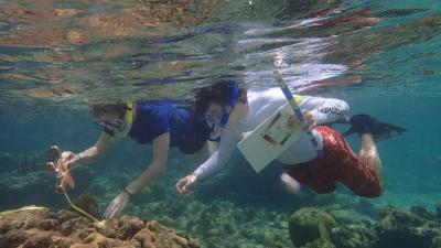 In July 2016, 17-year-old Jake Schenthal joined the Earthwatch teen expedition: Helping Endangered Corals in the Cayman Islands. 
