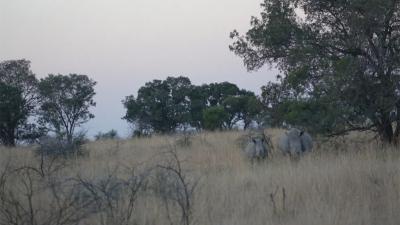 Earthwatch Blog Article: Starry Nights and Spiritual Experiences with White Rhinos in South Africa