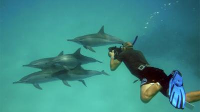 Earthwatch Blog Article:Like Mother, Like Daughter: A Story of Dolphins & Handbags