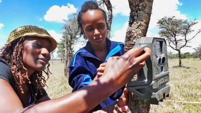 Earthwatch Lead Scientist Caroline Ngweno works with a participant to secure a camera trap on a tree trunk
