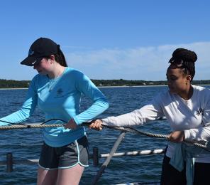 Earthwatch Girls in Science fellows will join researchers at Woods Hole Oceanographic Institution (WHOI), to investigate marine mammal mass strandings. 