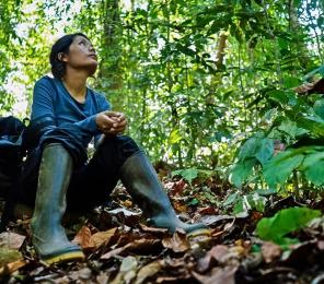 A woman sitting on the ground looking up in to the Costa Rican rainforest foliage.