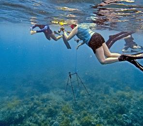 Earthwatch volunteers snorkel to deploy remote underwater video (RUV) units to record and monitor wildlife on reefs. (C) Dr. Rick Stafford