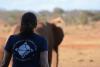 An Earthwatch volunteer watches an elephant herd (C) Lynn Von Hagen