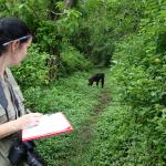 Track primates as they look for food. You'll record where they go and what fruits they eat.