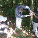 volunteers survey forest in brazil
