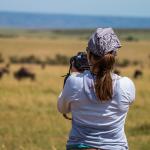 volunteer surveying kenyan wildlife