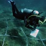 Earthwatch volunteers will establish underwater experimental plots