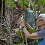 Earthwatch volunteers measure trees (C) Dr Natalia Rossi