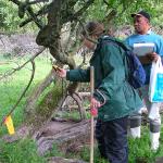 Earthwatch volunteers monitor African penguin habitat (C) Tania Taranovski