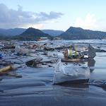 Plastic debris litters the surface of the ocean (C) Earthwatch Australia