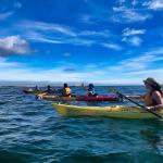 Apart from the scientific research, Earthwatch Girls in Science fellows will participate in activities around Woods Hole, like going on a whale watch and a kayak trip