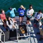 Aboard a ship, Earthwatch Girls in Science fellows will identify whales, dolphins, and seabirds; and deploy a hydrophone to record vocalizations