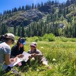 Earthwatch Expedition: Restoring Sierra Meadows: The Source of California’s Water