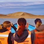 Earthwatch participants will travel by motorboat to observe bottlenose dolphins and humpback whales. | Earthwatch