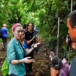 Volunteers discussing research in the jungle