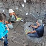 Volunteers conducting participating in a hands-on archaeological dig 