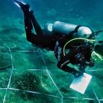 A scuba diver recording data obtained from monitoring underwater experimental plots.