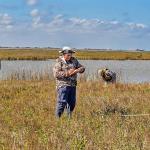 Conduct observations of crane behavior, foraging, territory defense, and movement in their natural saltmarsh territories.