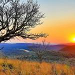 A beautiful sunset in Hluhluwe-iMfolozi Park in South Africa