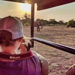 A woman in a safari vehicle taking a photo of an elephant during sunset.