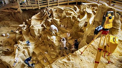 Excavation of mammoth graveyard sites in South Dakota begins, a project supported by Earthwatch for 39 years and led by Dr. Larry Agenbroad.